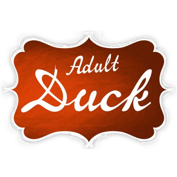 Leonardo Adult Duck – Bild 5