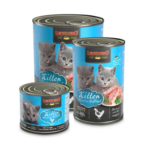 Leonardo Kitten Reich an Geflügel
