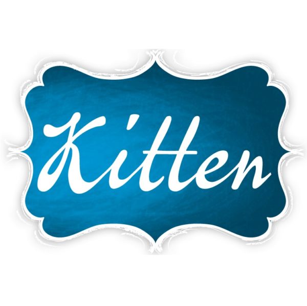 Leonardo Kitten Reich an Geflügel – Bild 8