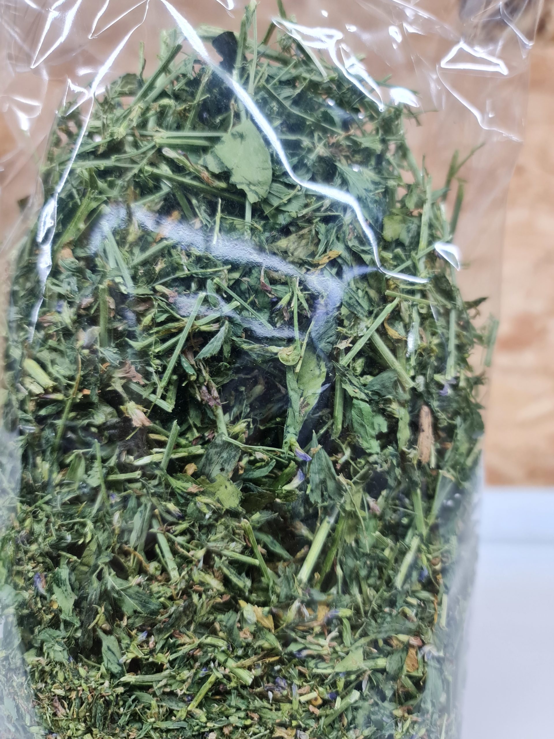 Stegerhof Luzerne – Bild 2