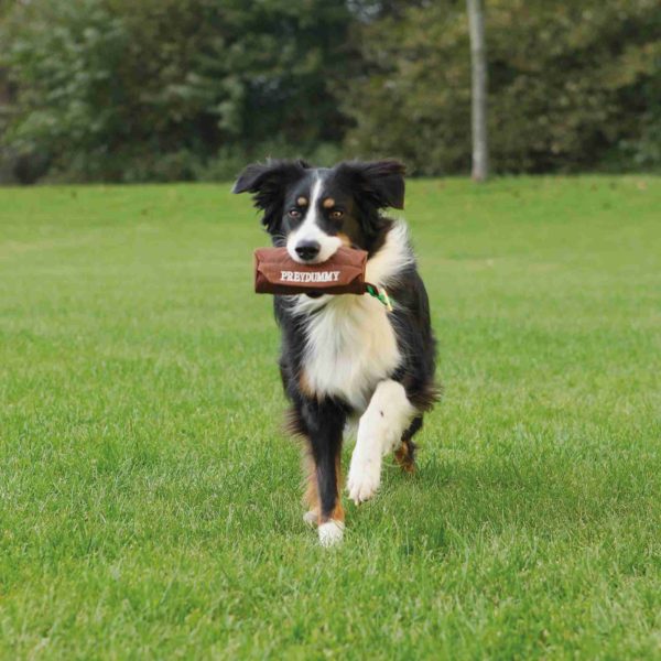 Trixie Preydummy – Bild 5