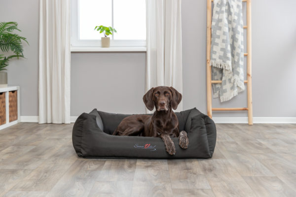 Trixie Bett Samoa Vital schwarz – Bild 8