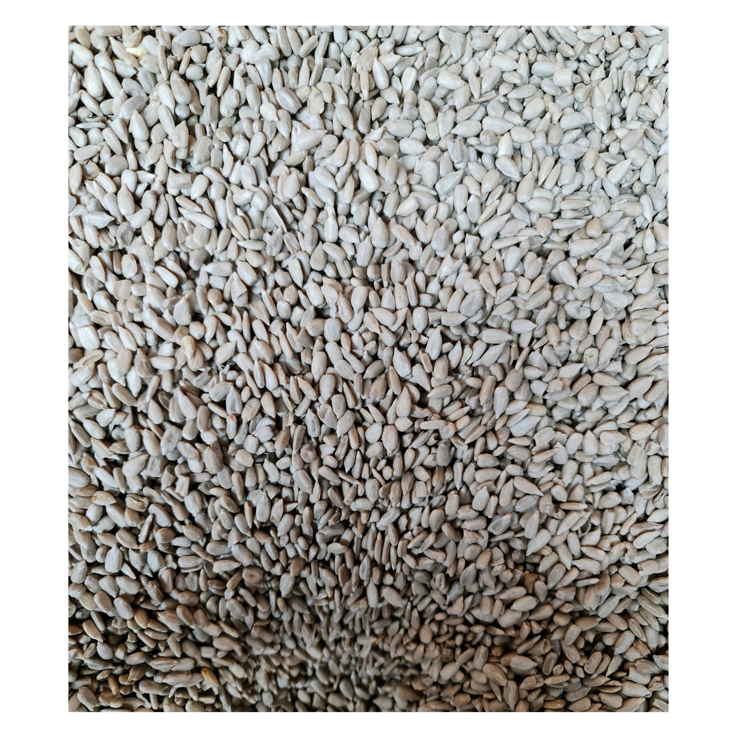 Sonnenblumenkerne geschält