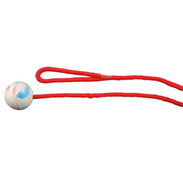 Trixie Ball am Seil 100cm