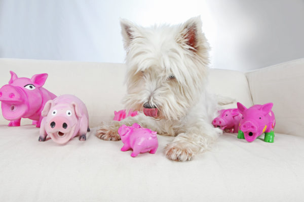 Trixie Schwein Hundespielzeug 20cm – Bild 3