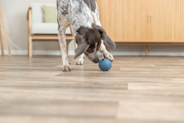 Trixie Snack-Ball Hundespielzeug – Bild 7