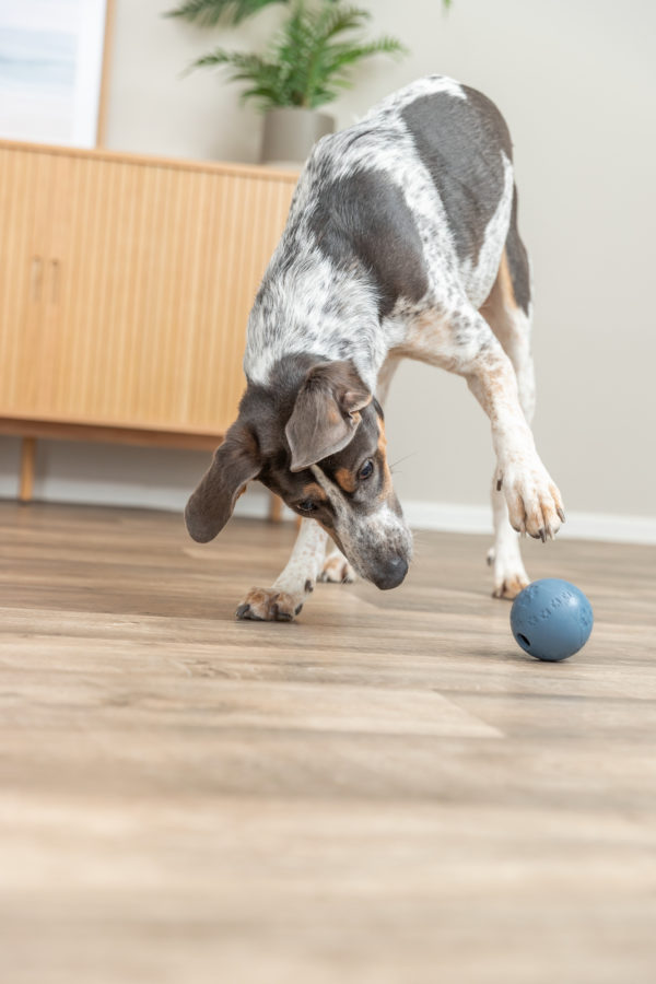 Trixie Snack-Ball Hundespielzeug – Bild 8