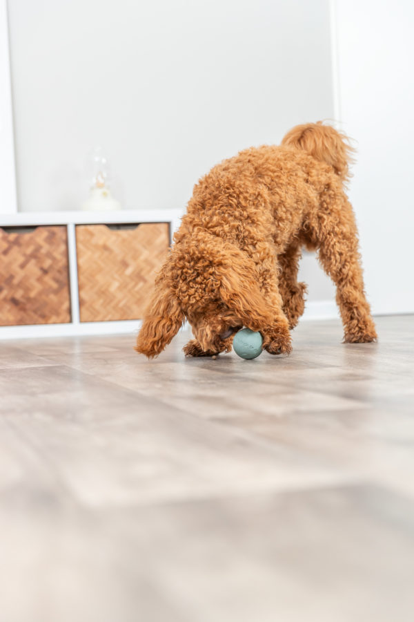 Trixie Snack-Ball Hundespielzeug – Bild 6