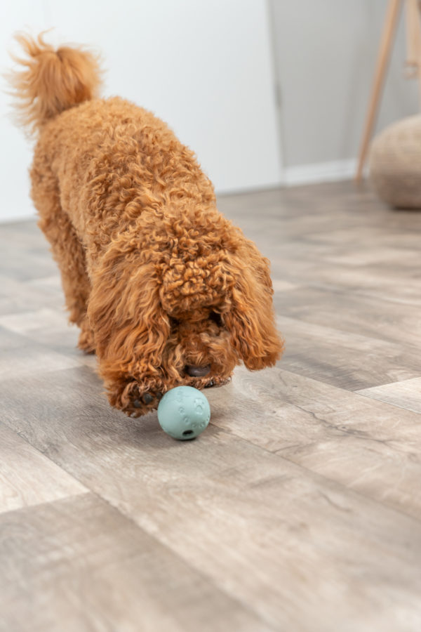 Trixie Snack-Ball Hundespielzeug – Bild 5