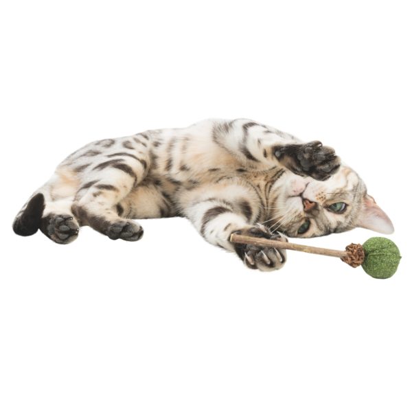 Trixie Matatabi Lolli 11cm – Bild 4
