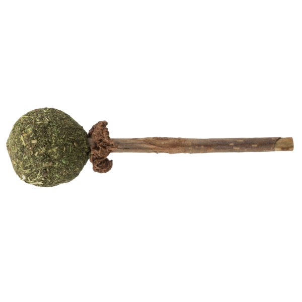 Trixie Matatabi Lolli 11cm – Bild 2