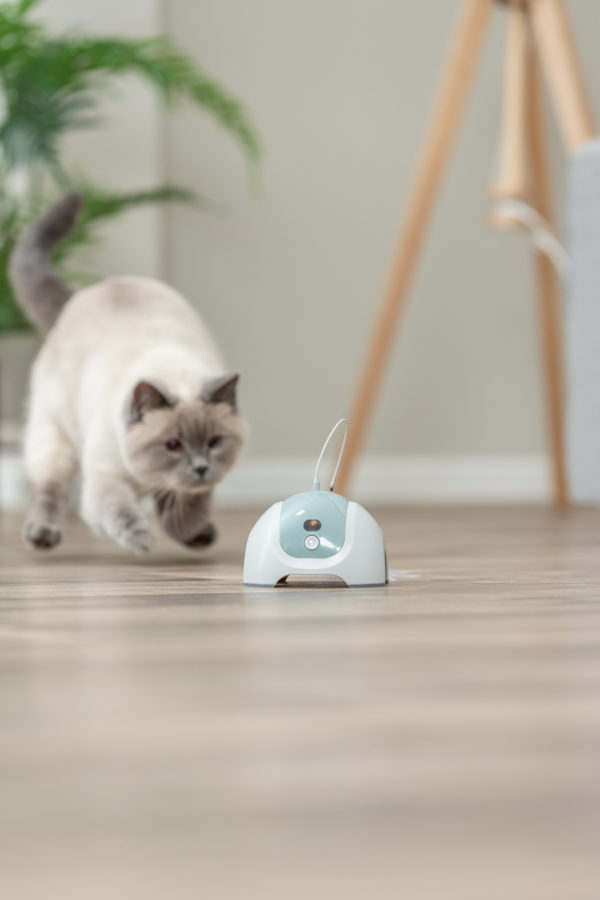 Trixie Catch Me mit Fernbedienung – Bild 5