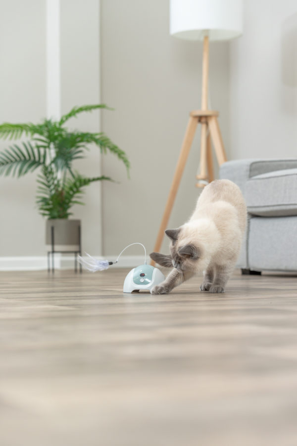 Trixie Catch Me mit Fernbedienung – Bild 6