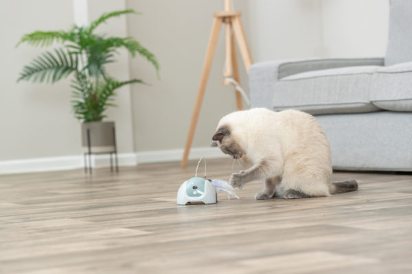 Trixie Catch Me mit Fernbedienung – Bild 9