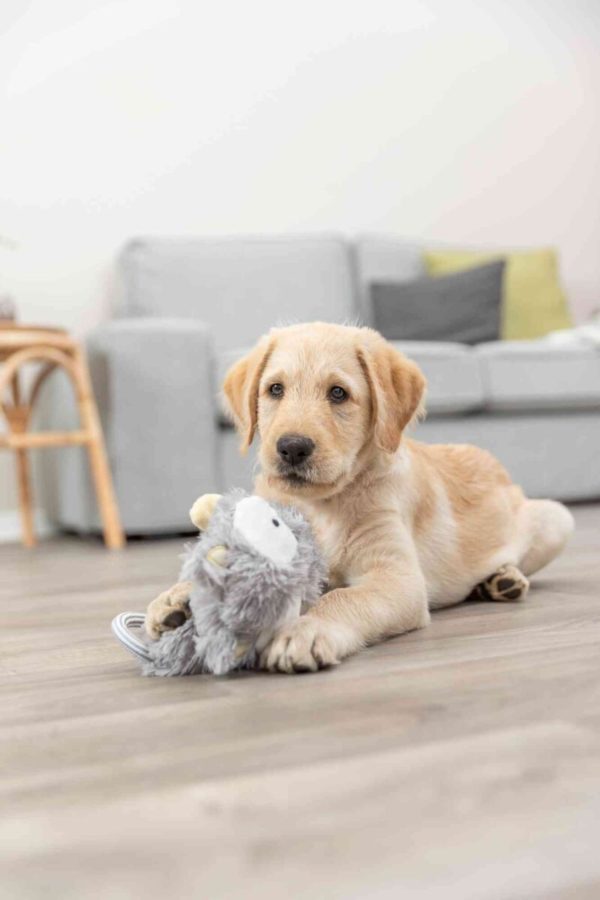 Trixie Junior Schlenkertier 33cm – Bild 6