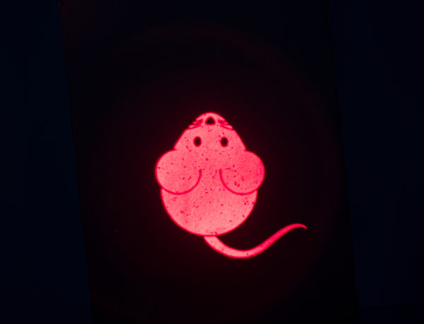 Trixie LED Pointer Catch the Light, Maus, USB – Bild 6