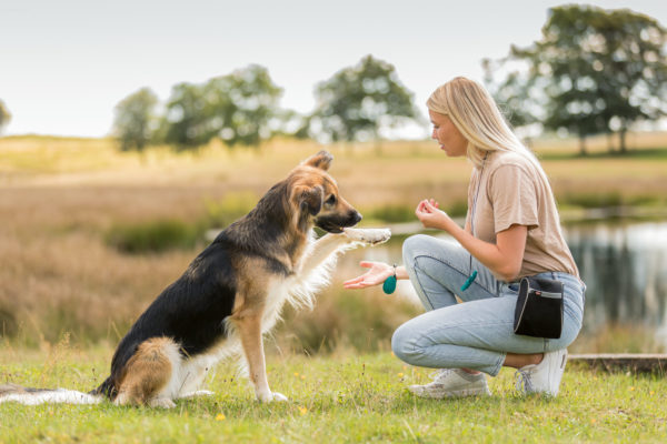 Trixie Snack-Tasche – Bild 12