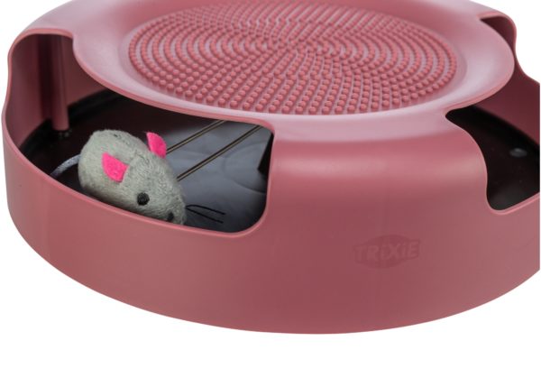 Trixie Catch the Mouse – Bild 7