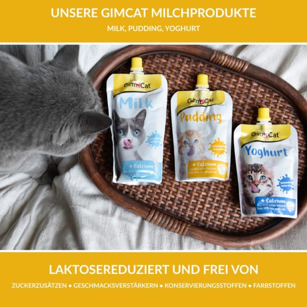 GimCat - Pudding 150 g – Bild 3