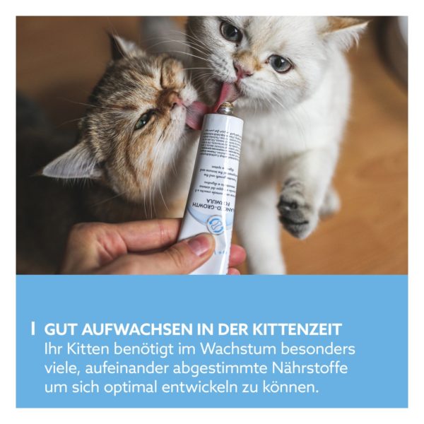 GimCat - Kitten Paste 50g – Bild 3