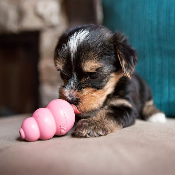 KONG - Puppy – Bild 6