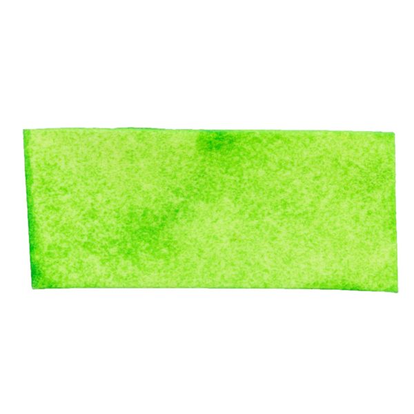 Trixie Denta Fun Spirulina Chewing Chips 100g – Bild 3