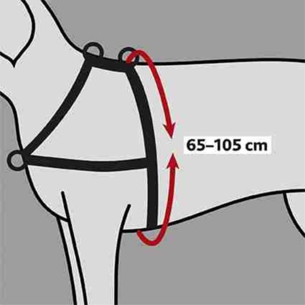 Trixie Trainingsgeschirr Lead'n'Walk Soft – Bild 7