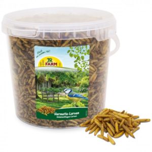 JR-Farm Hermetia-Larven
