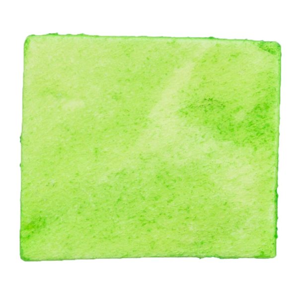 Trixie Denta Fun Spirulina Chewing Chips 50 g – Bild 2