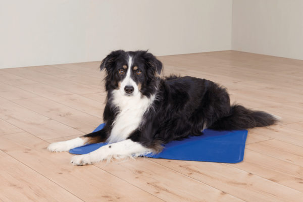 Trixie Kühlmatte für Hunde – Bild 9