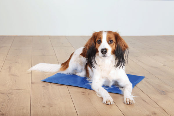 Trixie Kühlmatte für Hunde – Bild 6