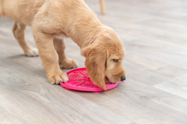 Trixie Lick'n'Snack Matte 18cm - mit Saugnäpfen – Bild 3
