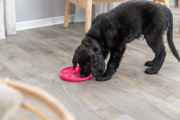 Trixie Lick'n'Snack Matte 18cm - mit Saugnäpfen – Bild 4