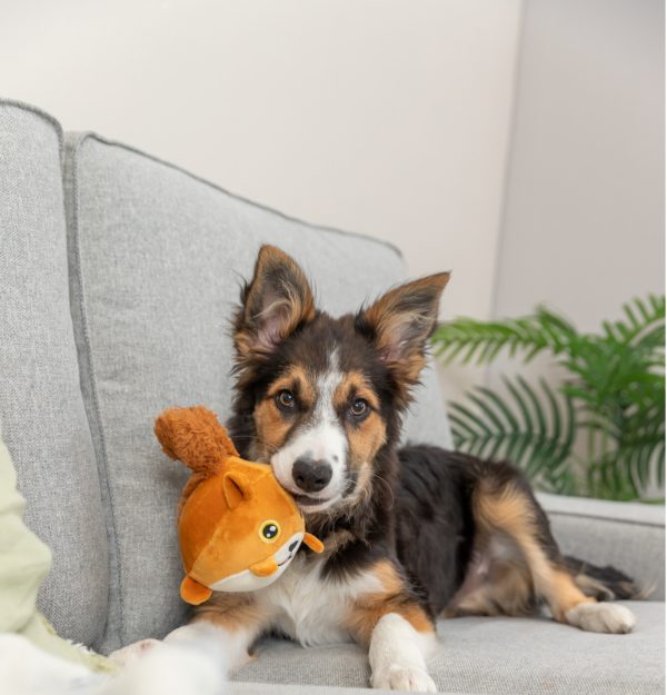 Trixie Eichhörnchen mit Memory-Effekt 13cm – Bild 3