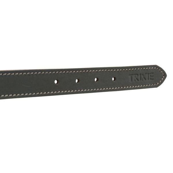 Trixie Rustic Fettleder-Halsband – Bild 10