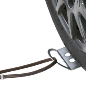 Trixie Auffahrplatte zum Anleinen