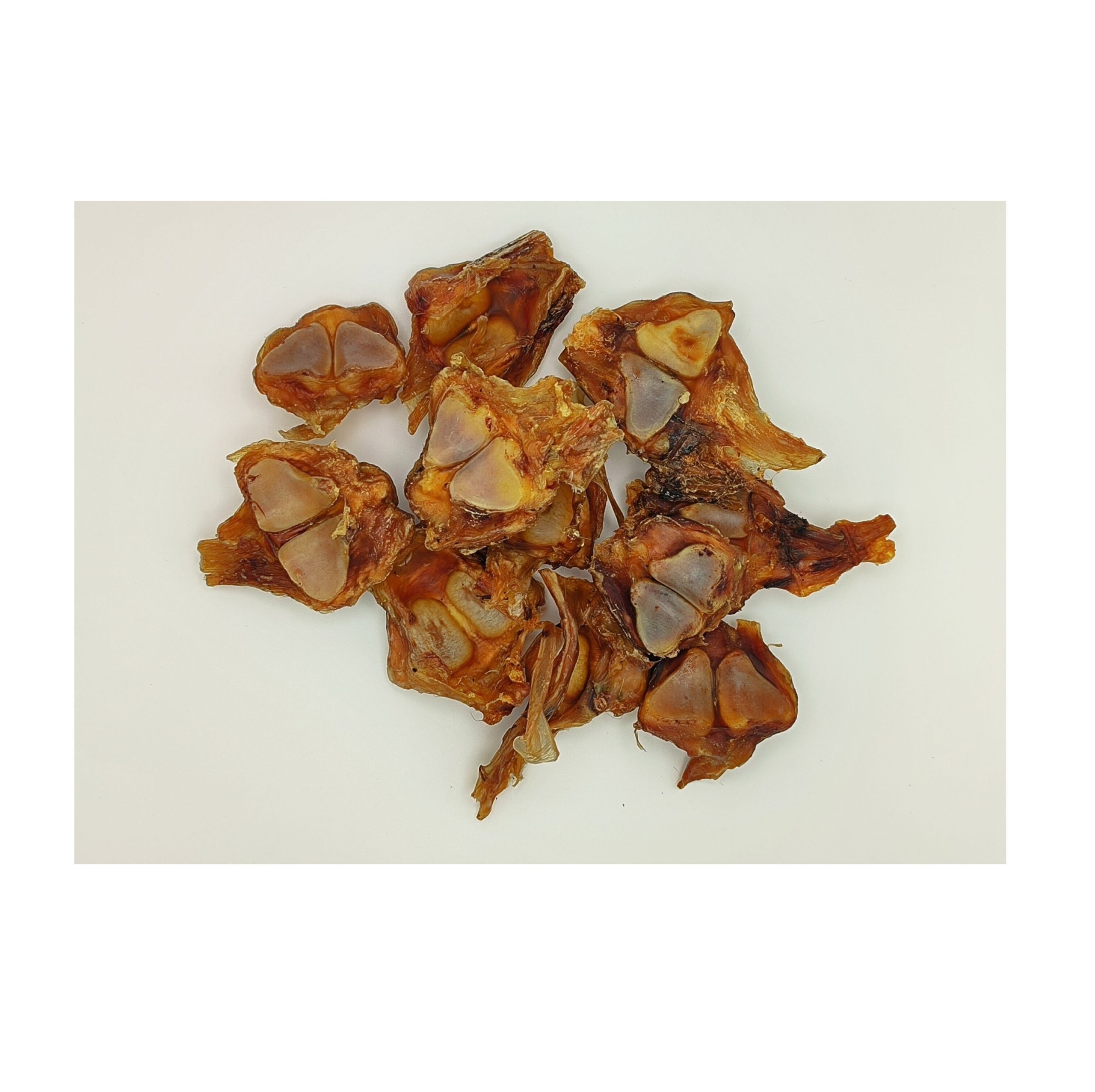 Pferde Achillessehnen-Knochen