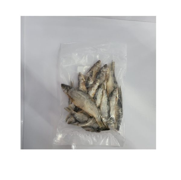 Ecostar Rotauge 150g