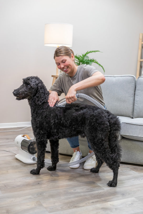 Trixie Schermaschinenset mit Fellsauger – Bild 13