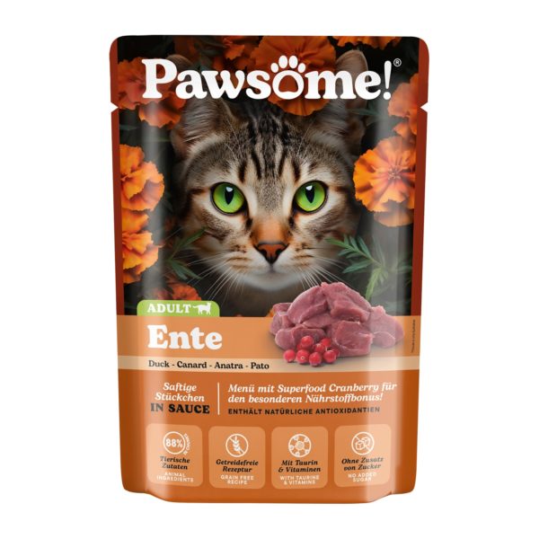 Pawsome! Adult Ente