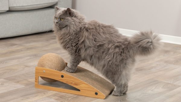 Trixie Kratzrampe mit Ball – Bild 6
