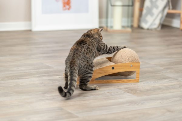 Trixie Kratzrampe mit Ball – Bild 7