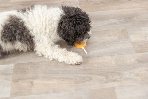 Trixie Premio Lolly mit Huhn&Reis 10cm, lose – Bild 4