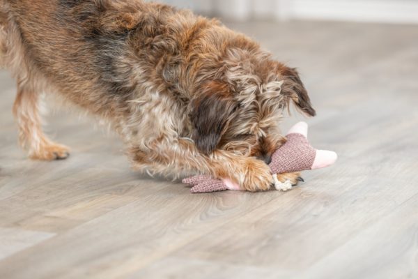 Trixie Hase Plüsch 24cm – Bild 5