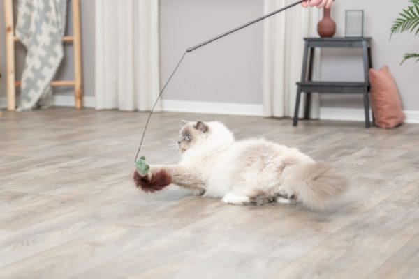 Trixie Spielangel mit Maus 46cm – Bild 4