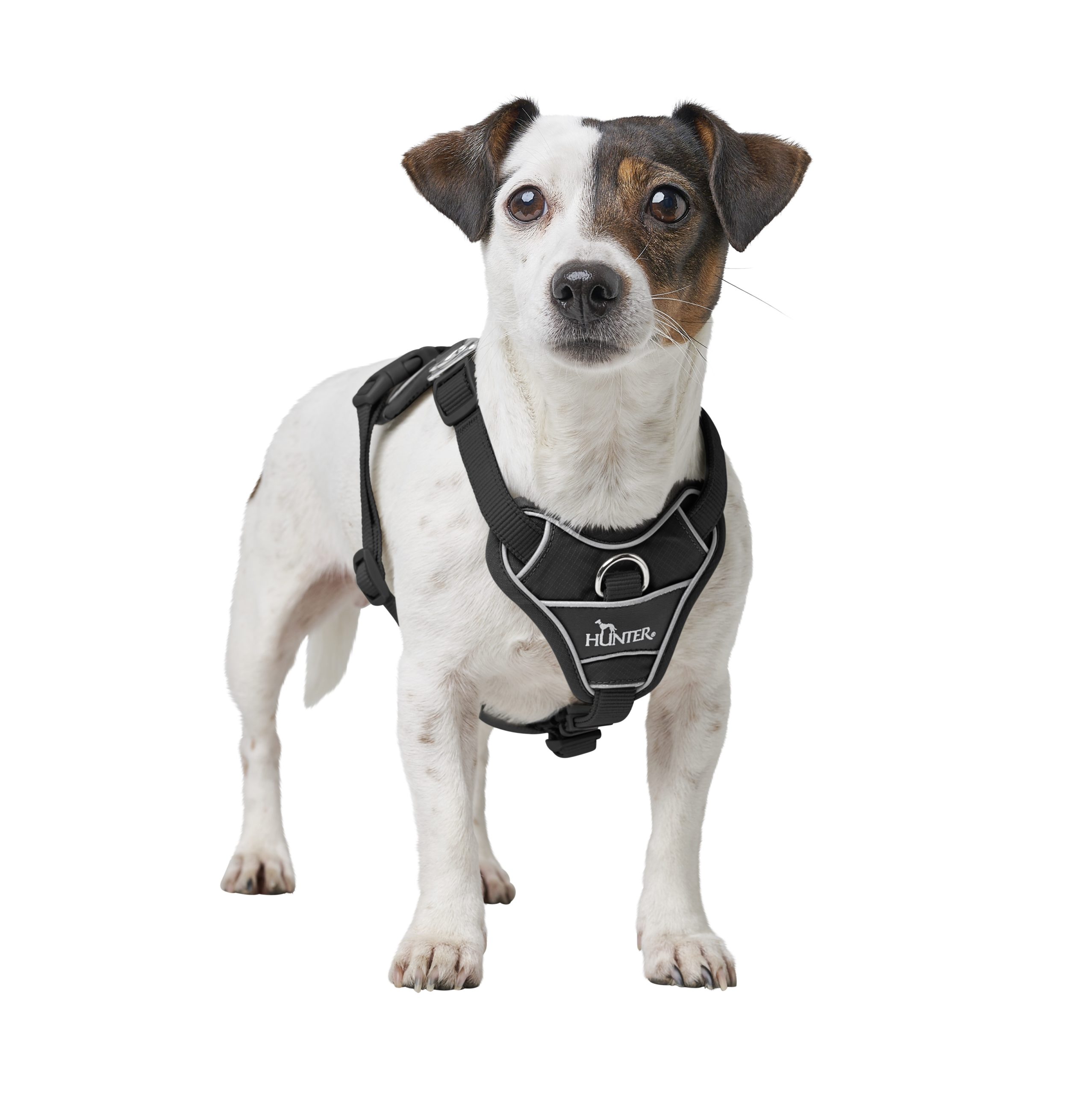 Hunter Geschirr Divo Up - Farbe: schwarz – Bild 2