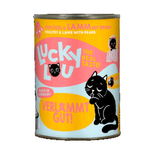Lucky Lou Lifestage Adult Geflügel & Lamm Dose