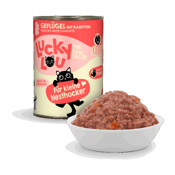 Lucky Lou Lifestage Kitten Geflügel Dose – Bild 2