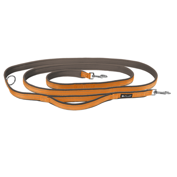 Petlando Outdoor Führleine 3m mit Sicherheitsgriff Orange