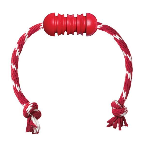 KONG - Dental mit Seil M – Bild 2